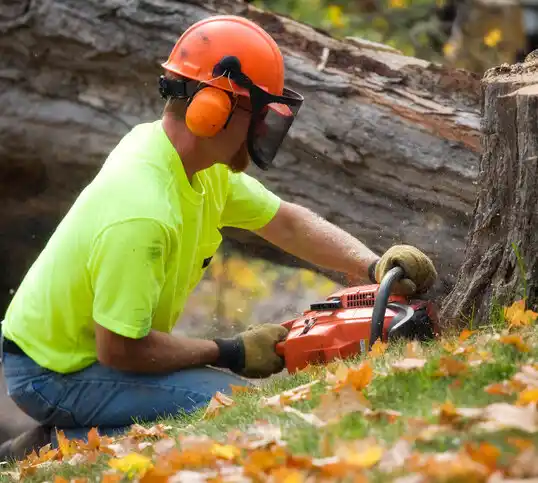 tree services Wixom